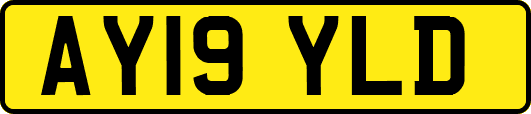 AY19YLD
