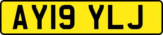 AY19YLJ