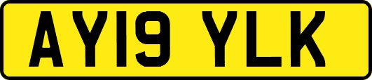 AY19YLK