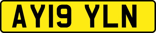 AY19YLN