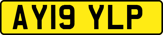 AY19YLP