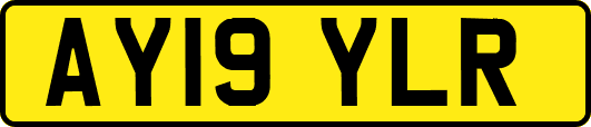 AY19YLR