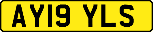AY19YLS