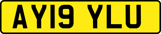 AY19YLU