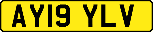 AY19YLV
