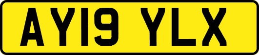 AY19YLX