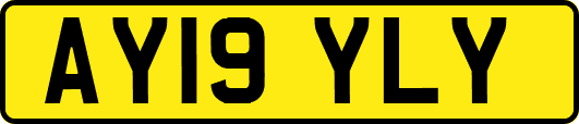 AY19YLY
