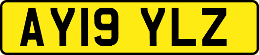 AY19YLZ