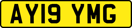 AY19YMG