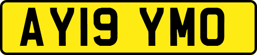AY19YMO