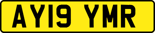 AY19YMR