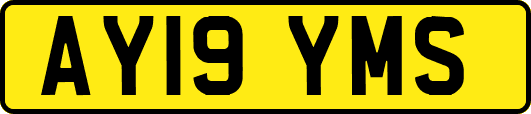 AY19YMS