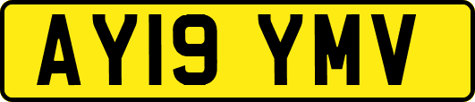AY19YMV