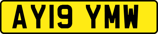 AY19YMW