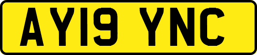AY19YNC
