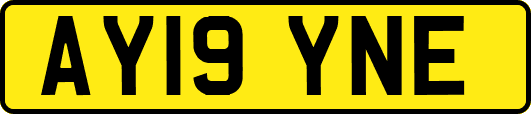 AY19YNE