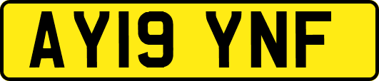 AY19YNF