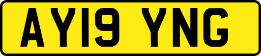 AY19YNG