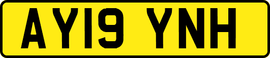 AY19YNH