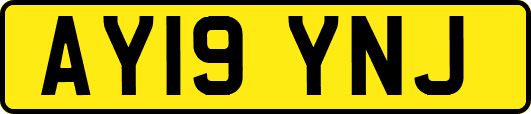 AY19YNJ