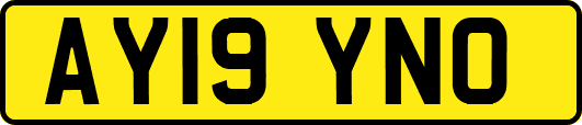 AY19YNO