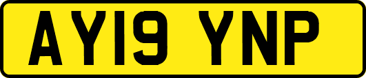 AY19YNP