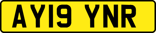 AY19YNR