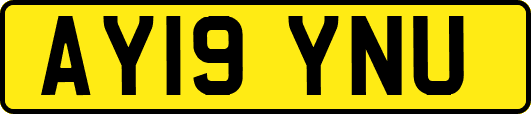 AY19YNU