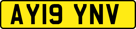 AY19YNV