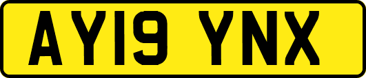 AY19YNX