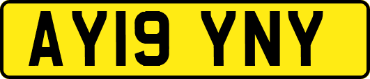 AY19YNY