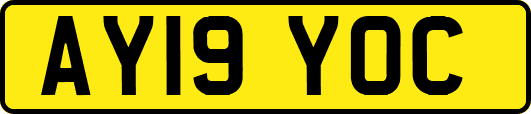 AY19YOC