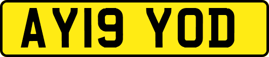 AY19YOD