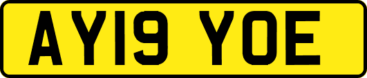AY19YOE