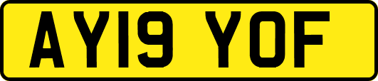 AY19YOF