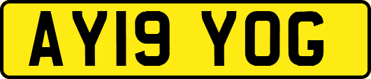 AY19YOG