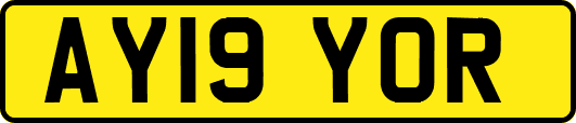 AY19YOR