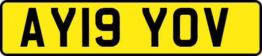 AY19YOV