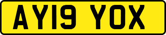 AY19YOX