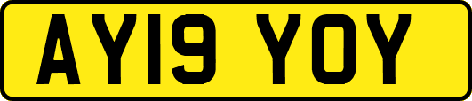 AY19YOY