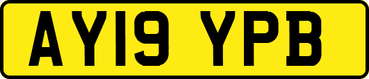AY19YPB