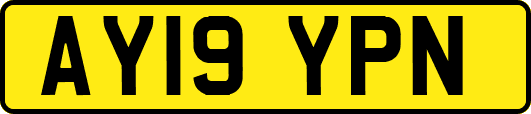 AY19YPN