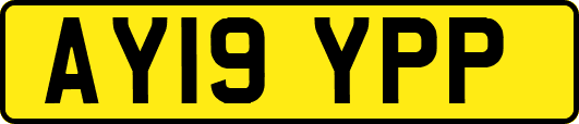 AY19YPP