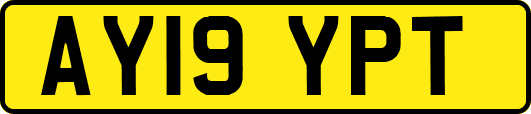 AY19YPT