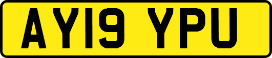 AY19YPU