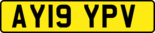 AY19YPV