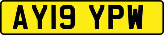 AY19YPW