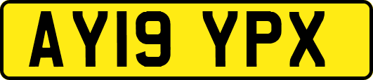 AY19YPX