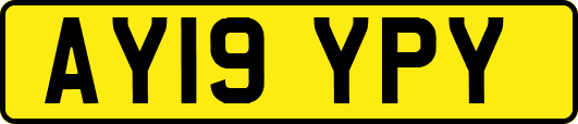 AY19YPY