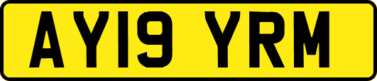 AY19YRM